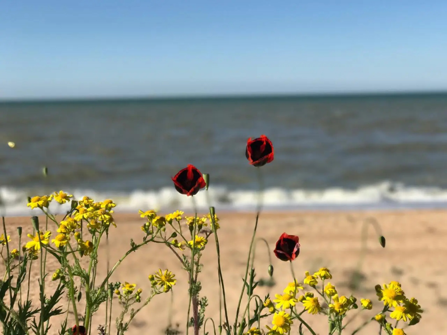 Гостевой Дом 7 Морей