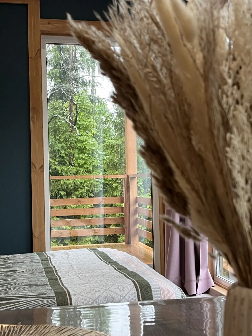 Гостевой дом Новый дом у соснового леса