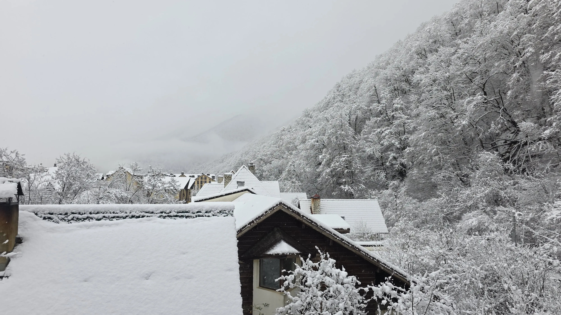 Апартаменты Горы