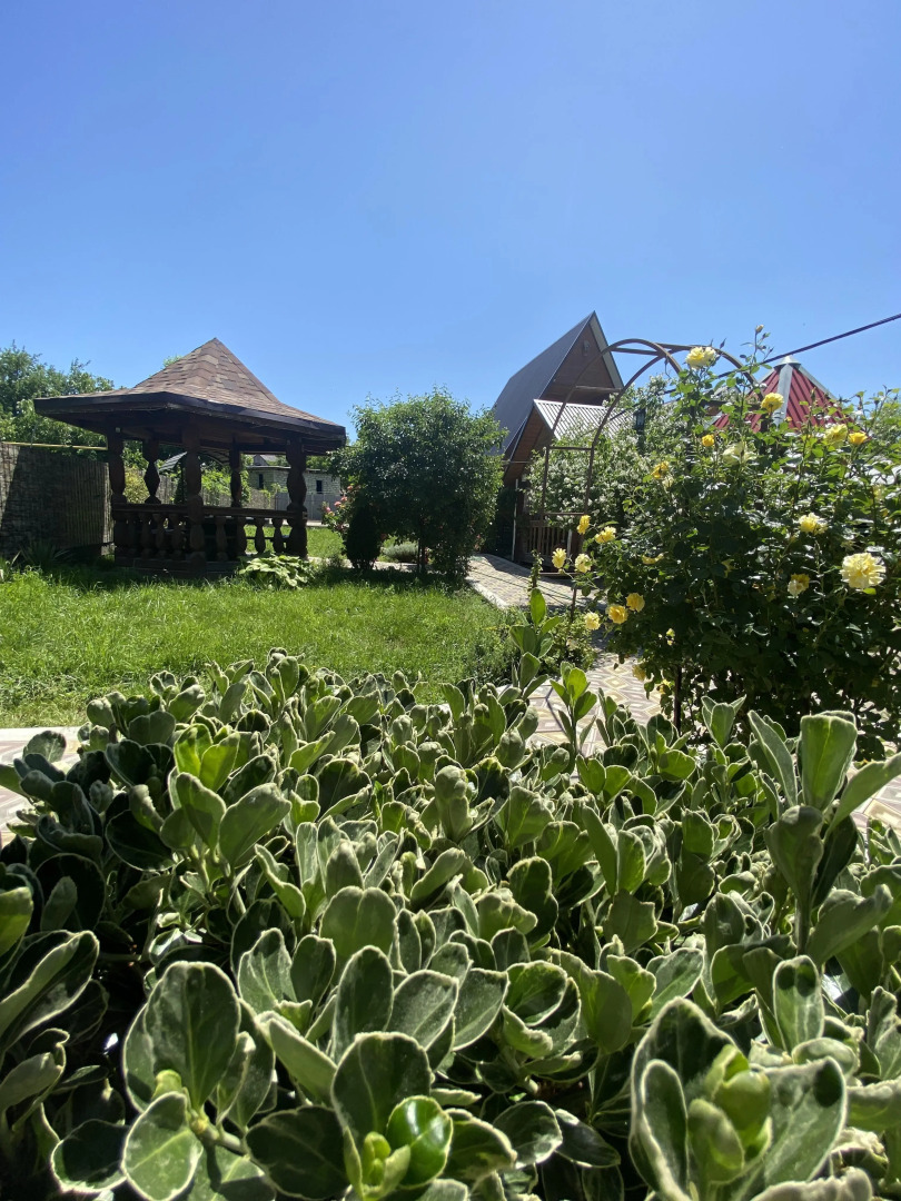 Гостевой дом Солнечный Хаджох