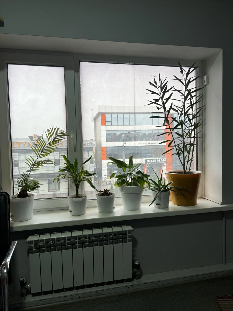 Хостел Капсула Эдем