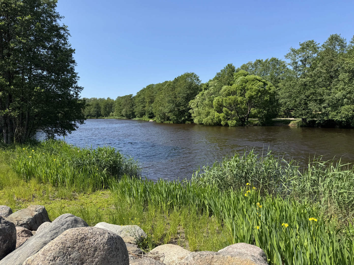 Квартира Magic Resort и Spa у Финского Залива