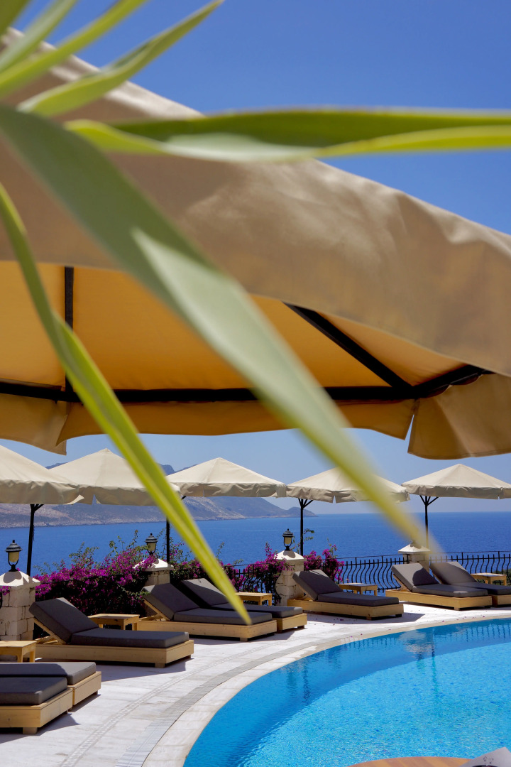 Отель Villa Tamara