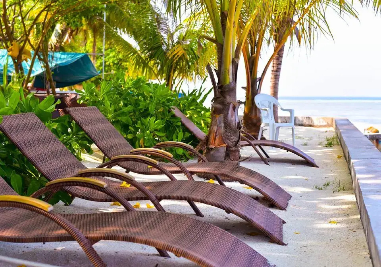 Гостевой дом Maldives Holiday Packages