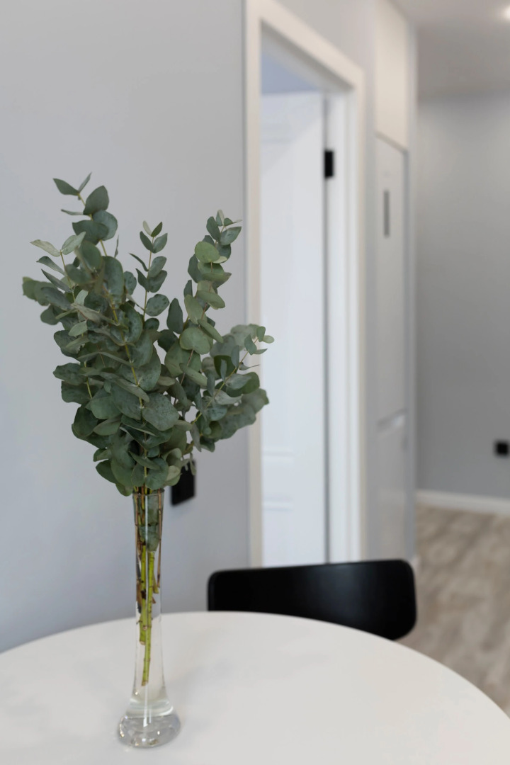 Квартира Атмосферная в ЖК Авиатор