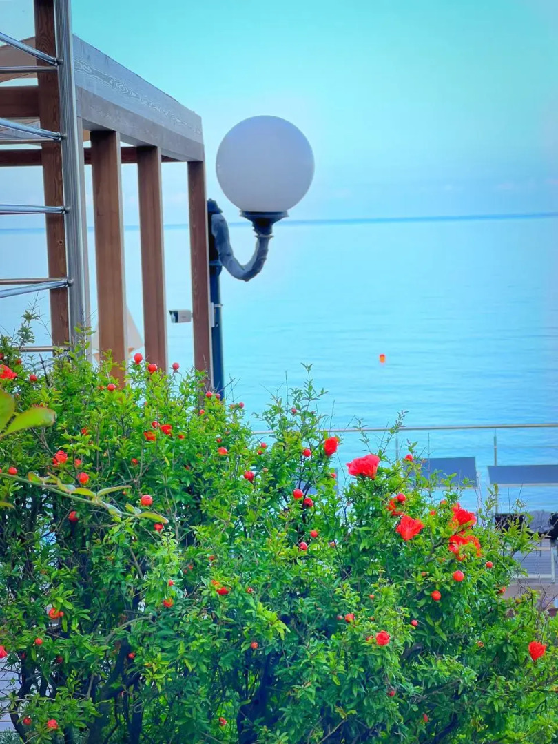 Санаторий Беларусь