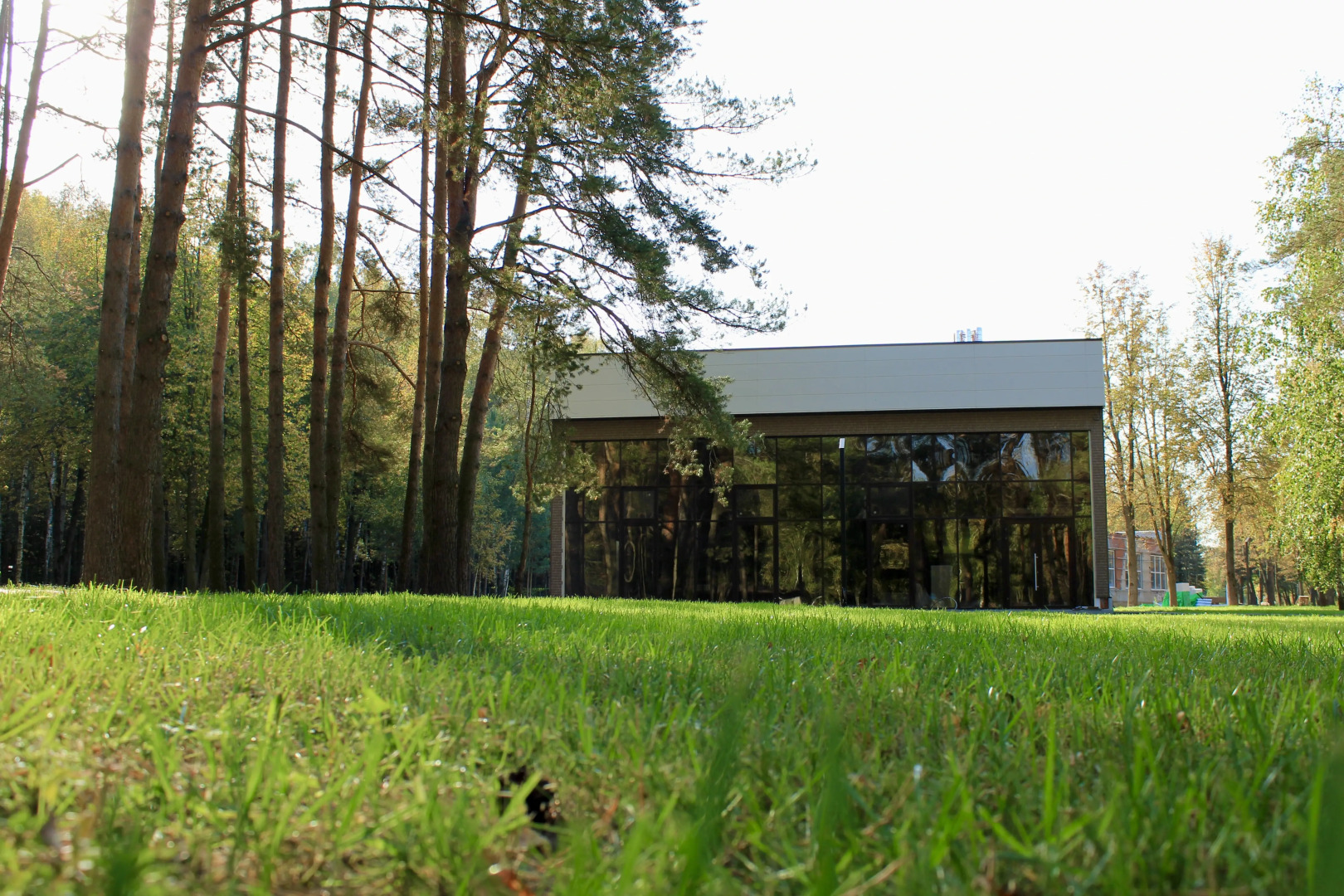 Отель Парк Отель Дубки