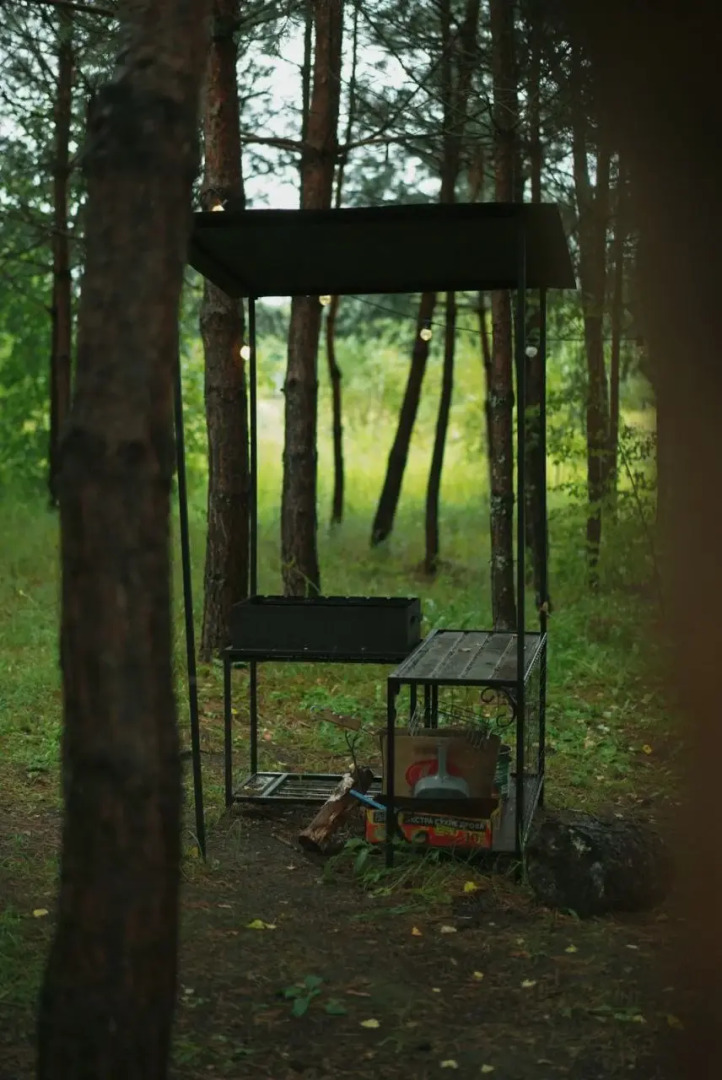 Глэмпинг Дача Хвоя