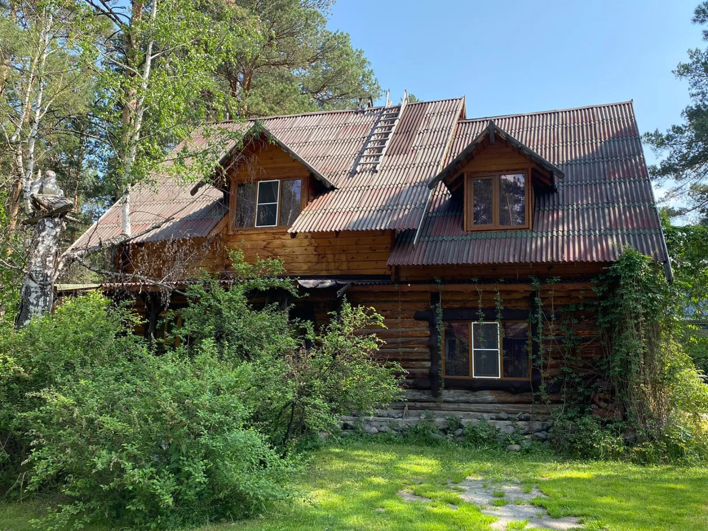 Отель Altai Star