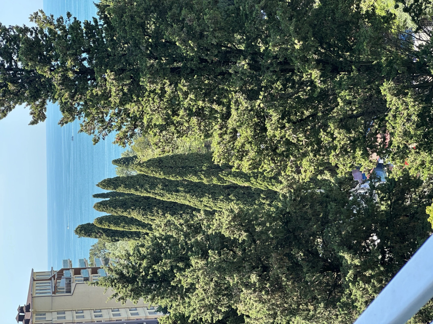 Апартаменты Волна 2