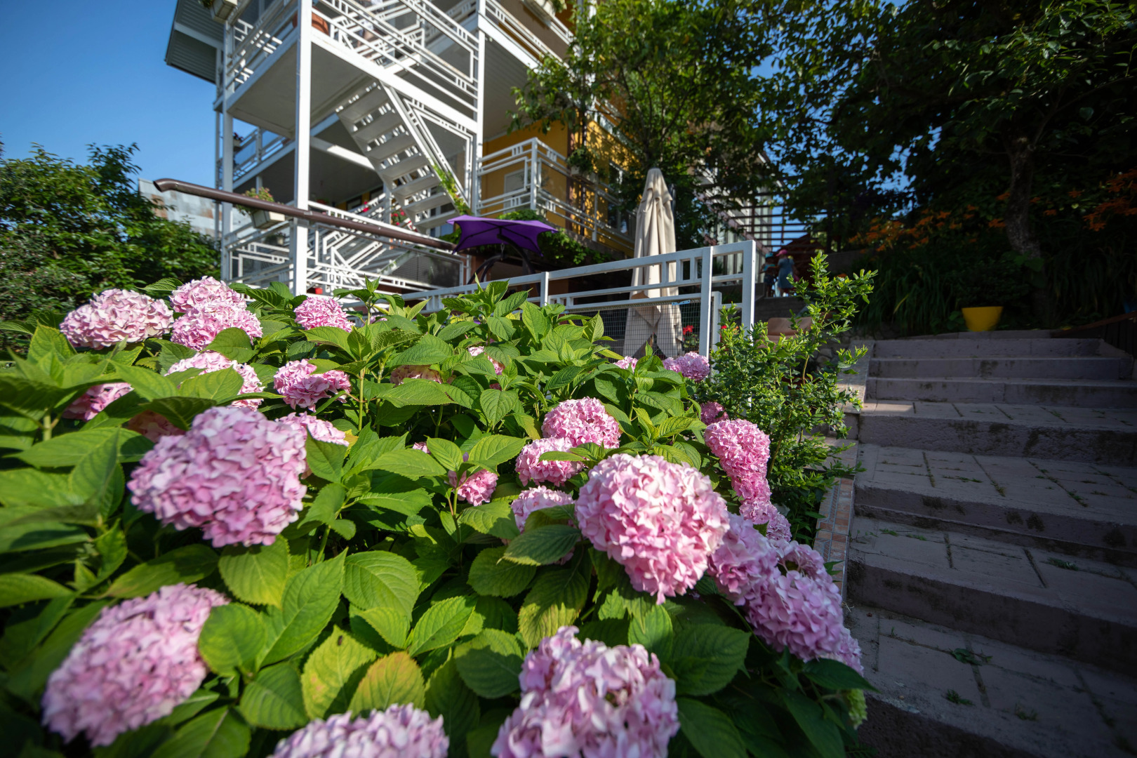 Гостевой дом Желтый дом