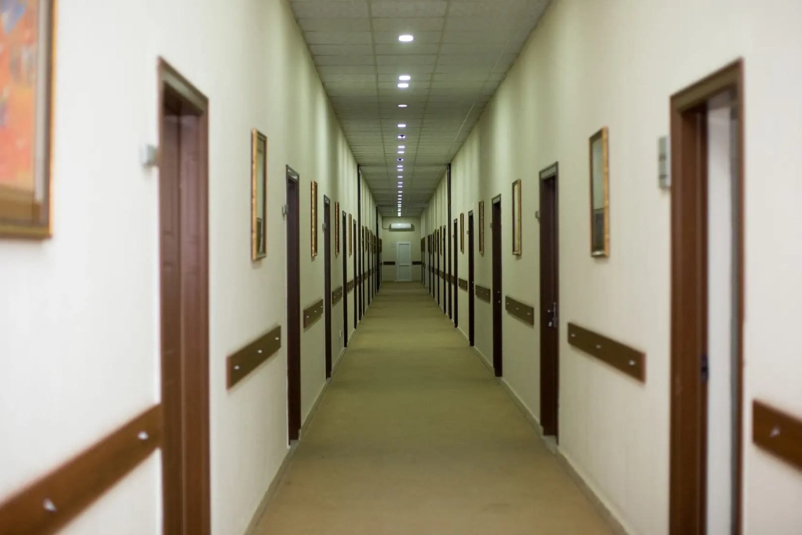 Хостел Ganja Grand