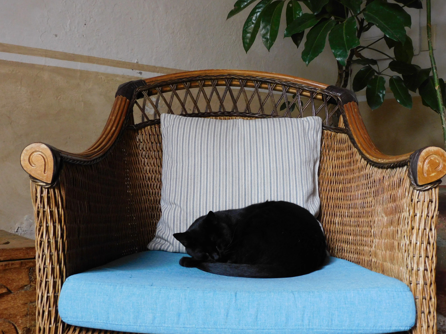 Отель La Quinta Luna Culture By Rotamundos