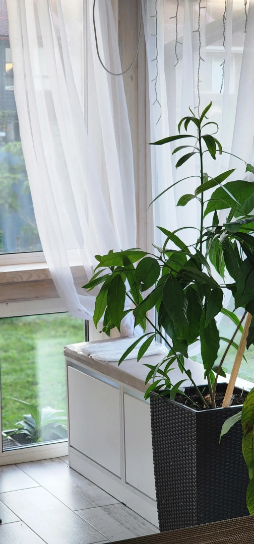 Частный дом Уютная Орхидея