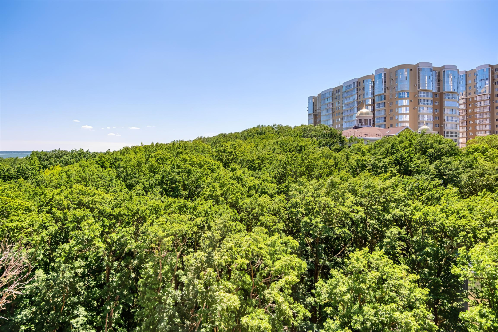 Апартаменты в центре города с видом на парк