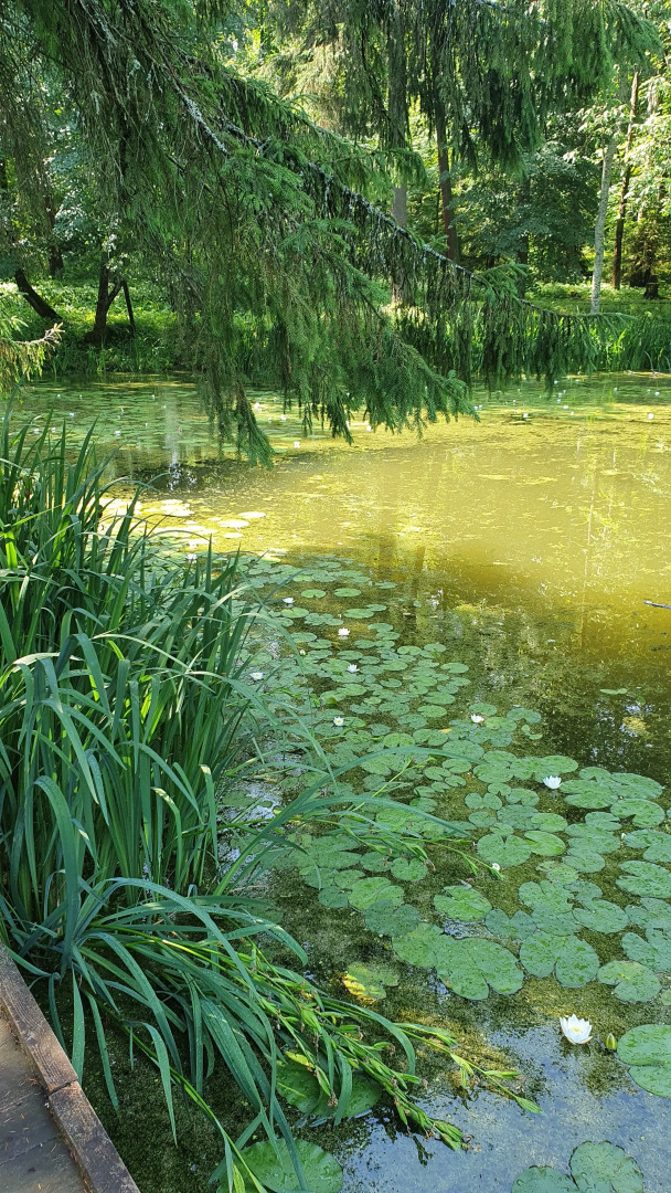 Санаторий Орбита 2