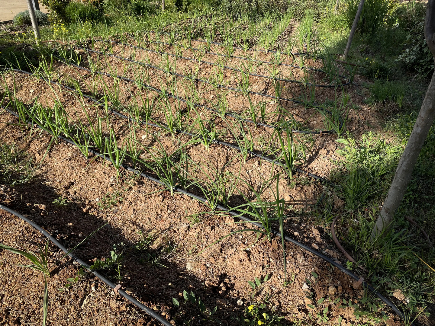 Отель SERAWA Moraira