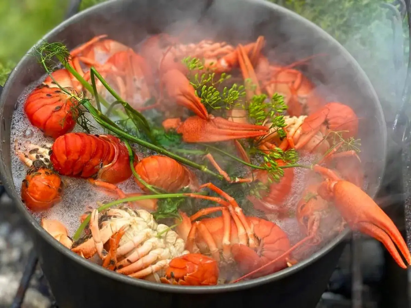 Гостевой дом Регилес