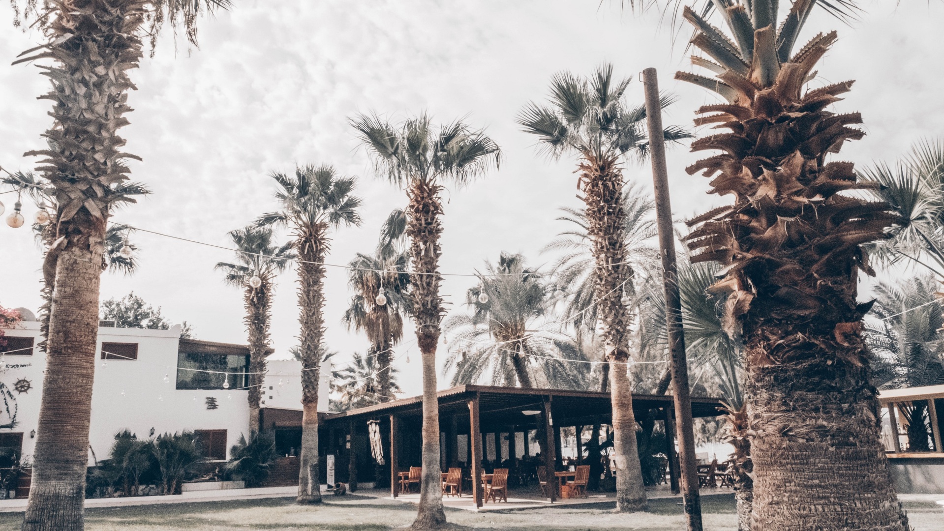 Отель Selvi Beach