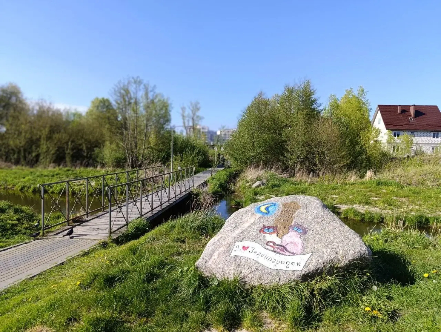 Квартира уютная квартира у моря