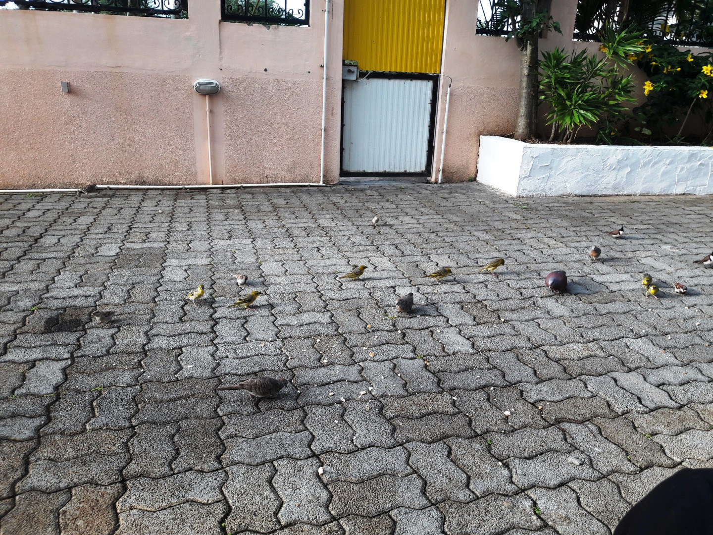 Гостевой Дом Pallagino Villa