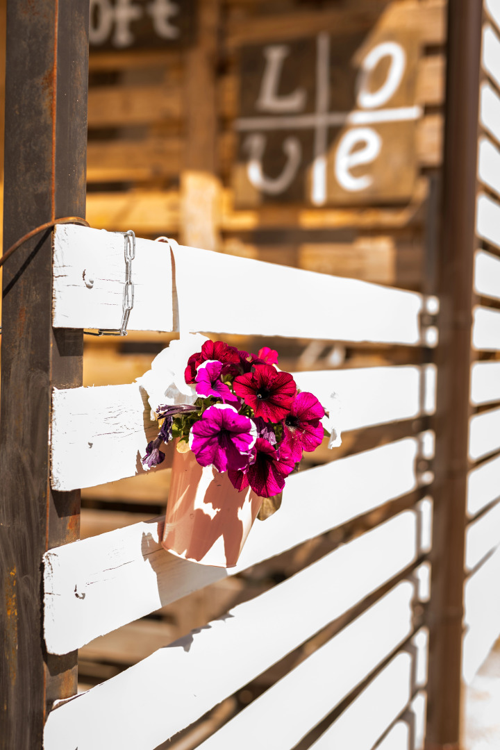 Мини-отель City Camp