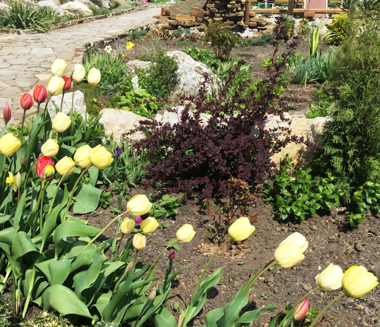 Гостевой Дом Серенада