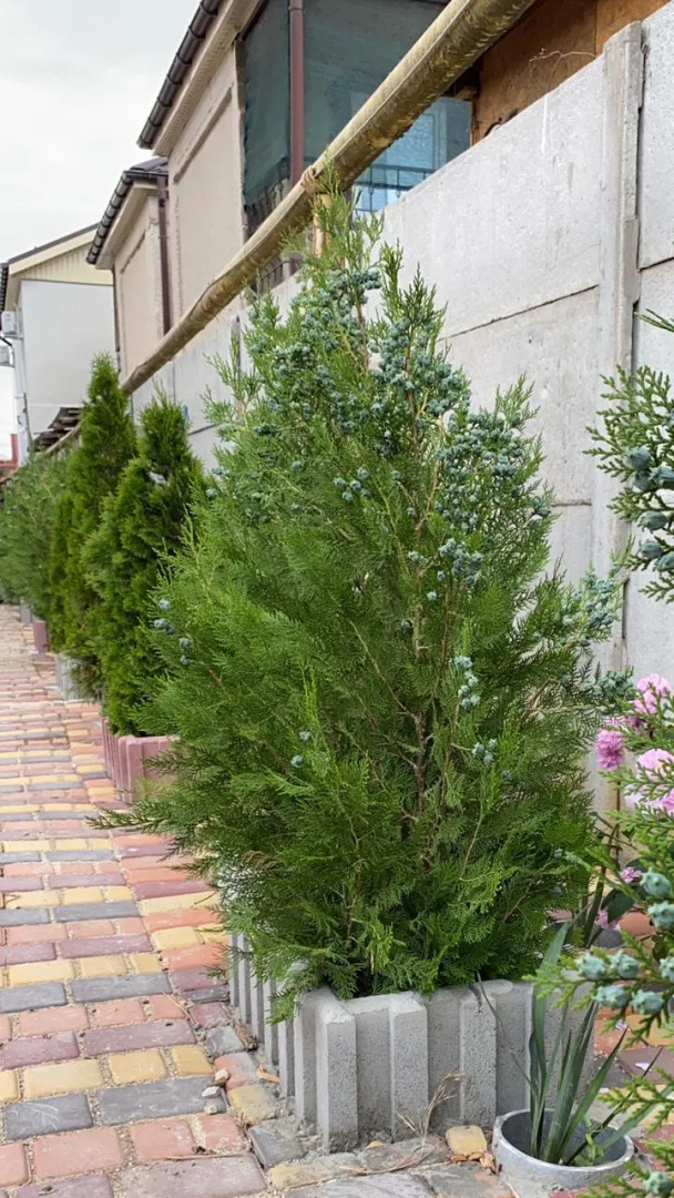 Гостевой дом RiHotel Крым