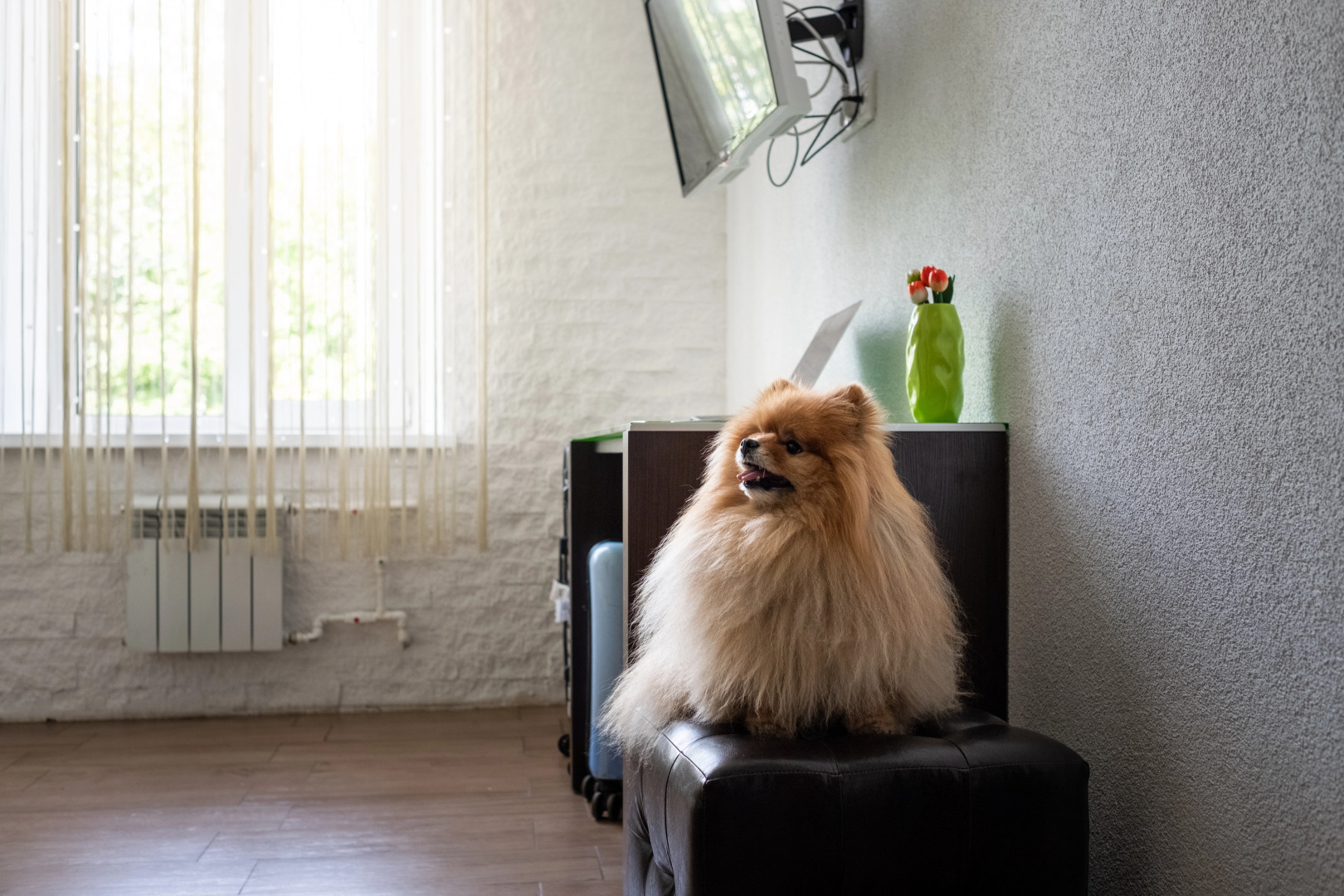 Отель Арт Гранд Виктория