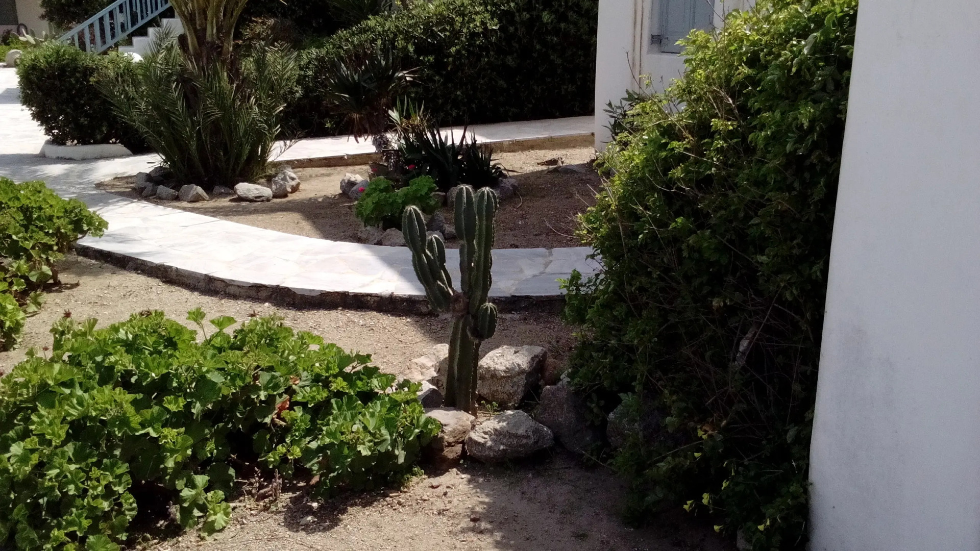 Апартаменты Mikonian Aroma house