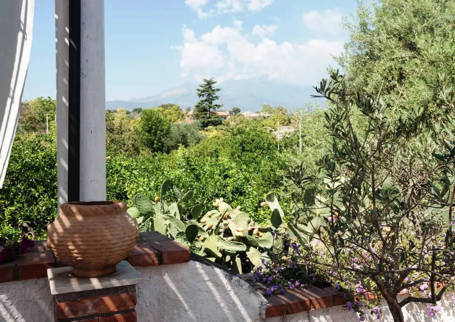 Отель B&B La Casa del Ficus