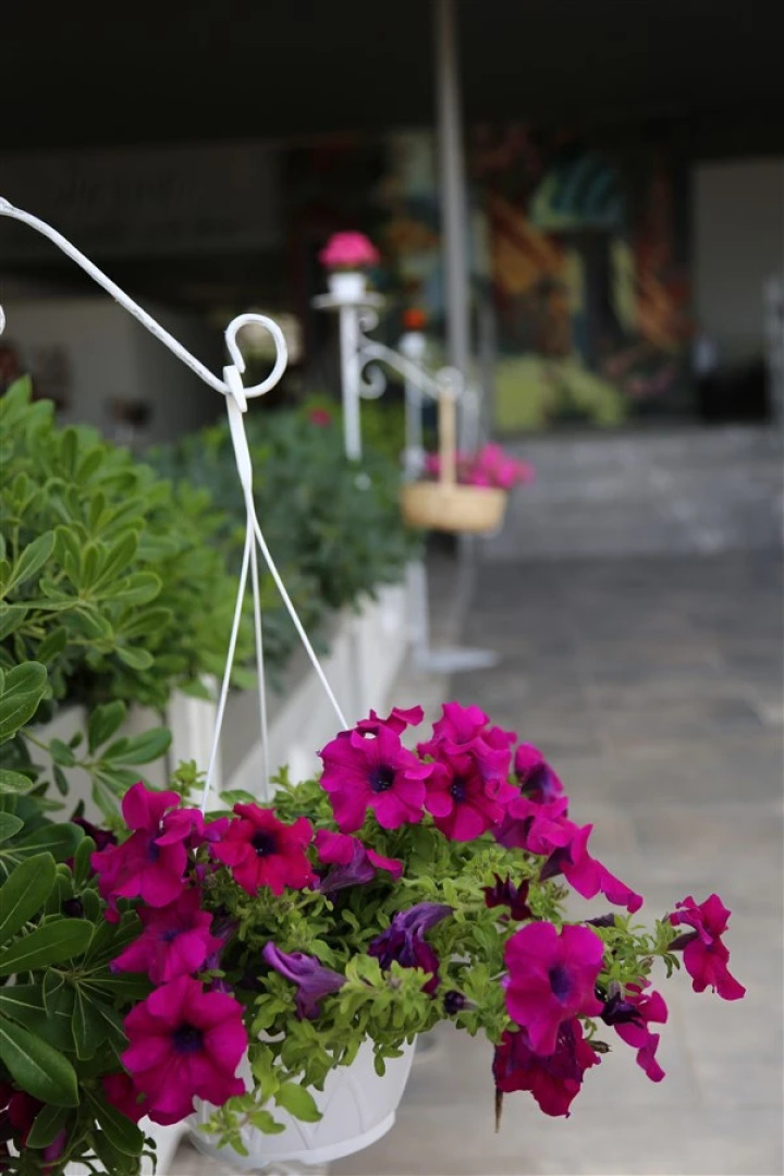 Отель B&B Yüzbaşı