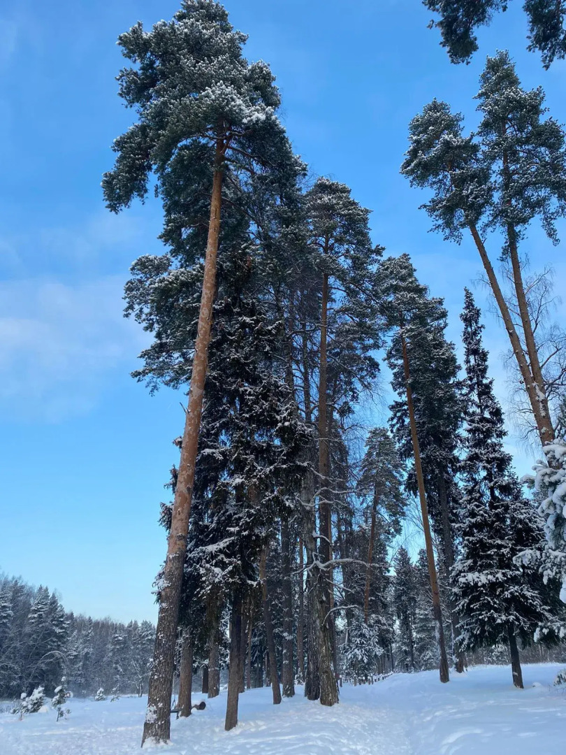 Частный дом в Заветах Ильича с голубой гостиной