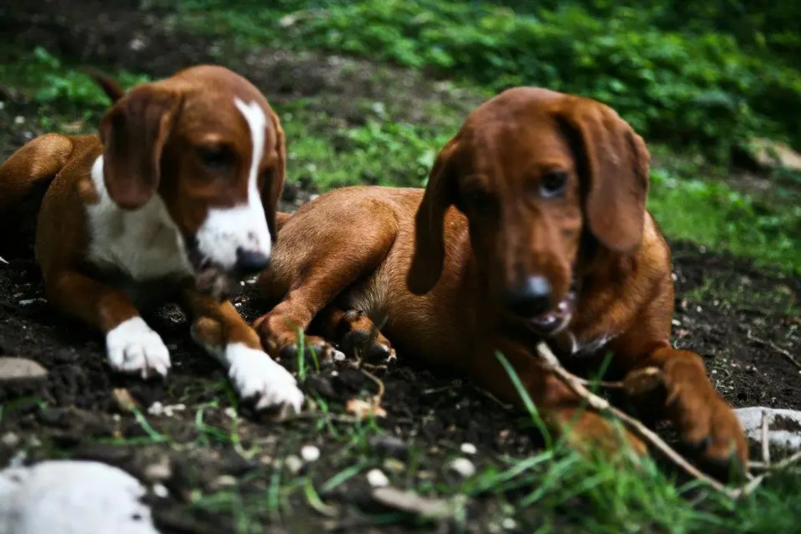 Гостевой Дом GRAB ethno village and camp