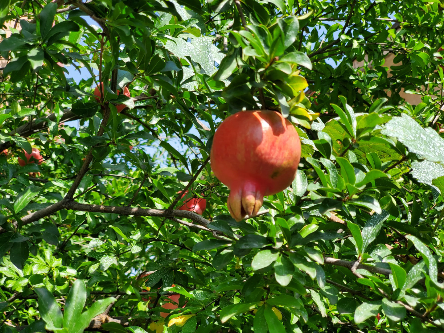 Отель West Tbilisi