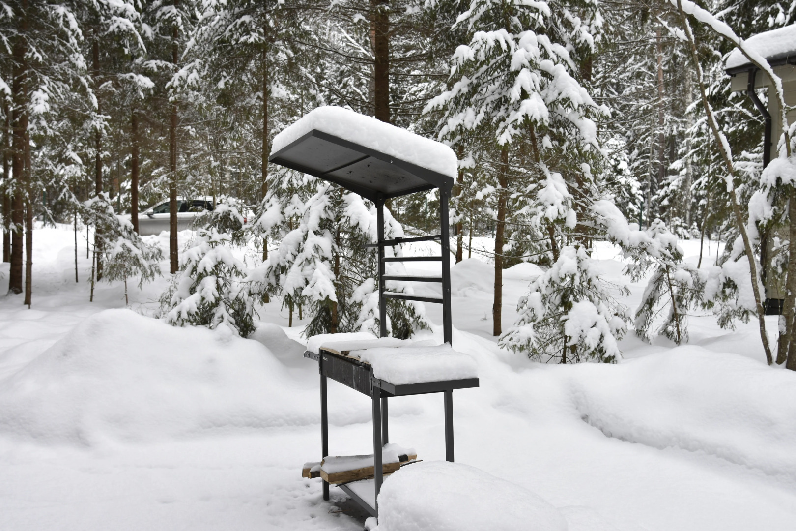 Гостевой дом Грибной домик на берегу Озера Волго на Селигере - коттеджи Сосновый бор