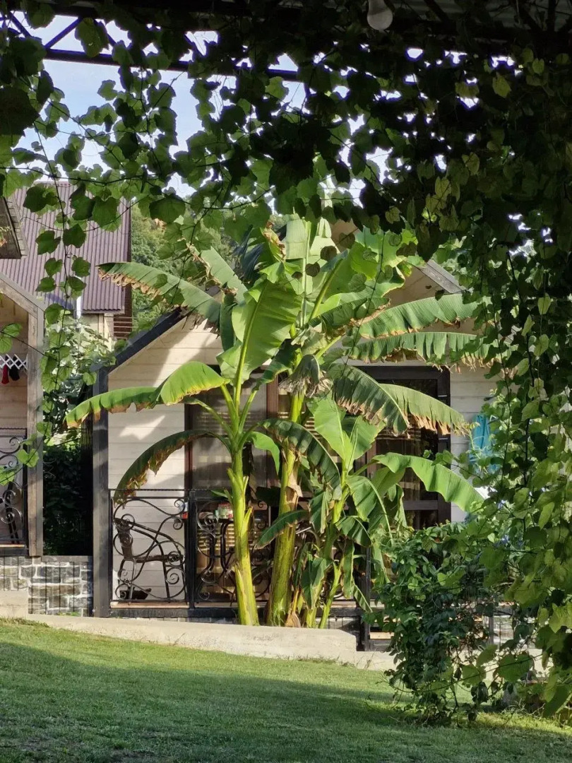 Гостевой дом Иль Маре