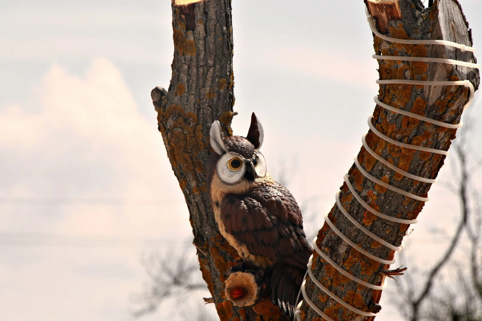 База отдыха Роза ветров
