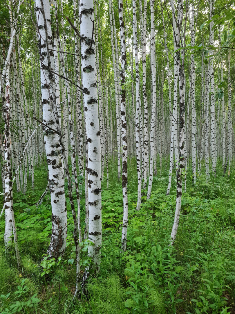 Частный дом Гора U Дачи