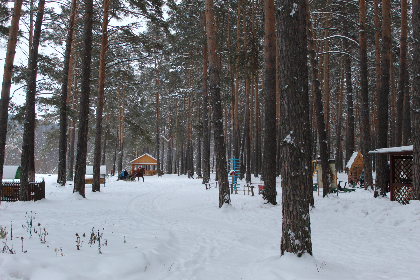 База Отдыха Сова