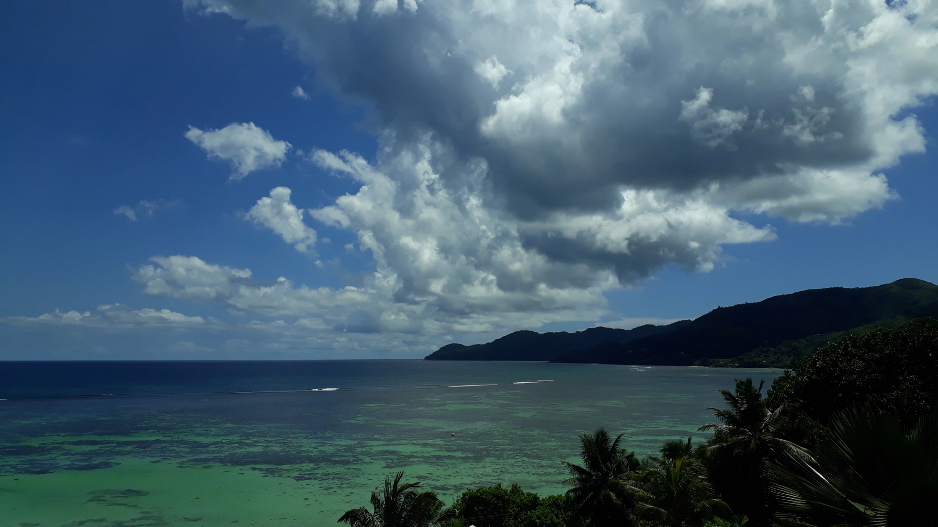 Апартаменты Au Fond De Mer View