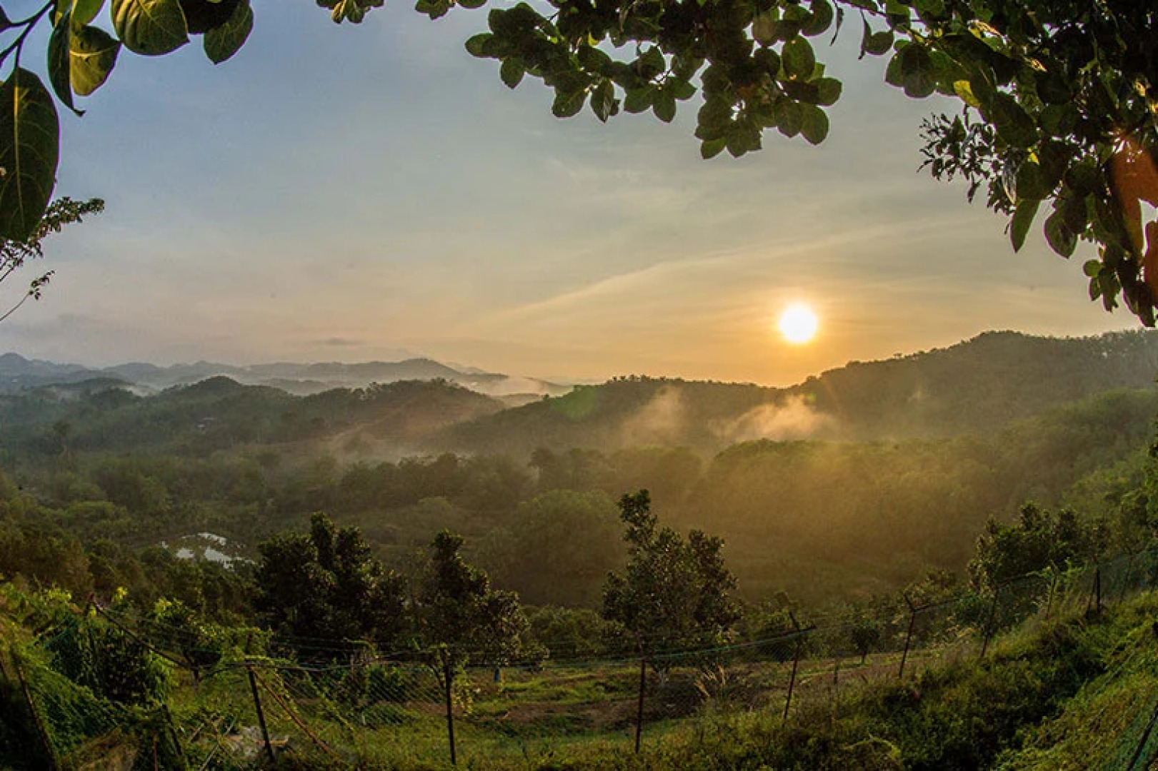 Отель The Orchard Wellness & Health Resort