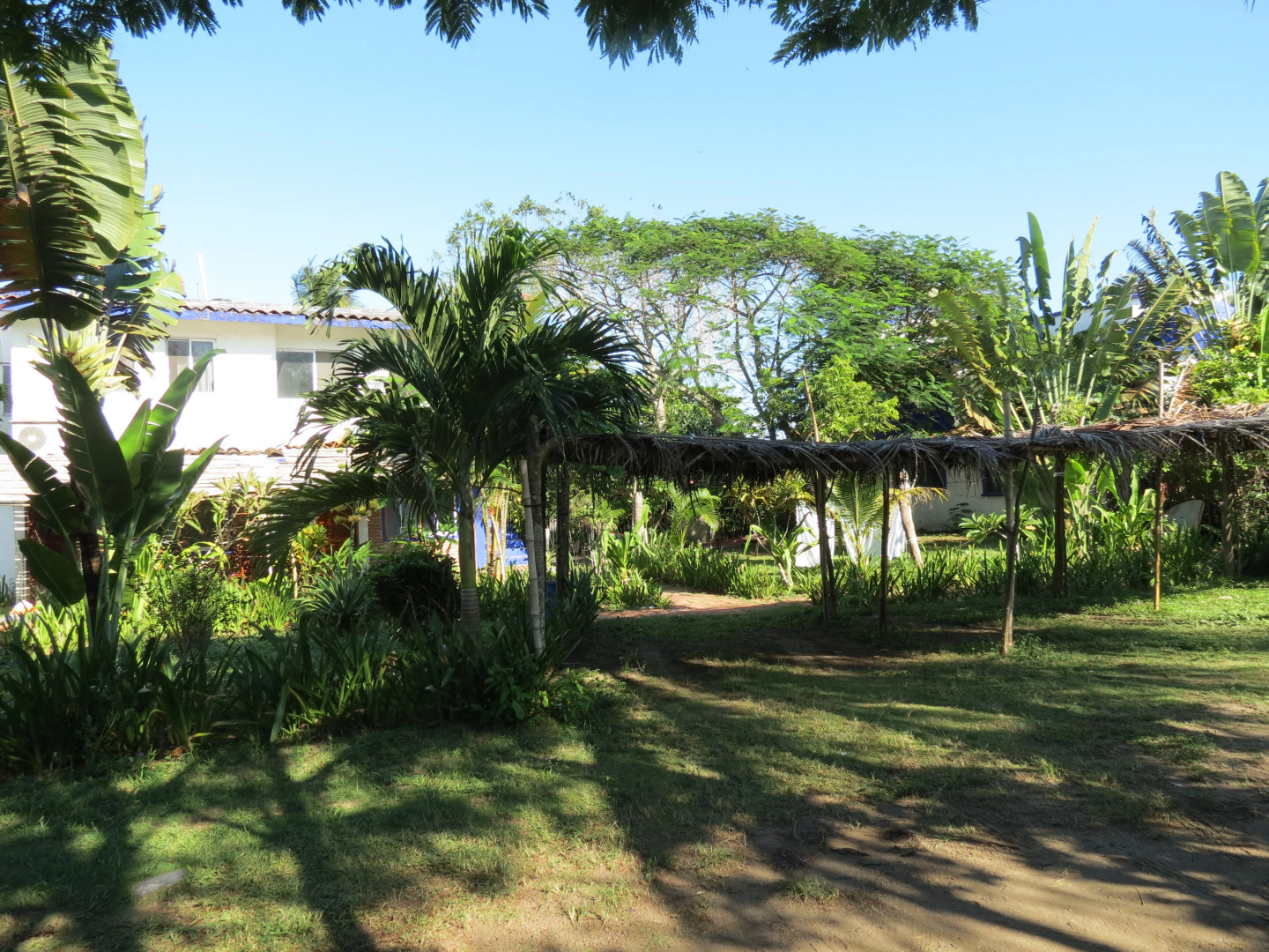 Отель Eco Coco Loco by Rotamundos