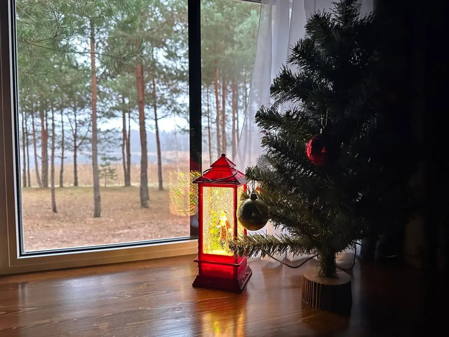 Частный дом Reo Rest - дом Лесное озеро