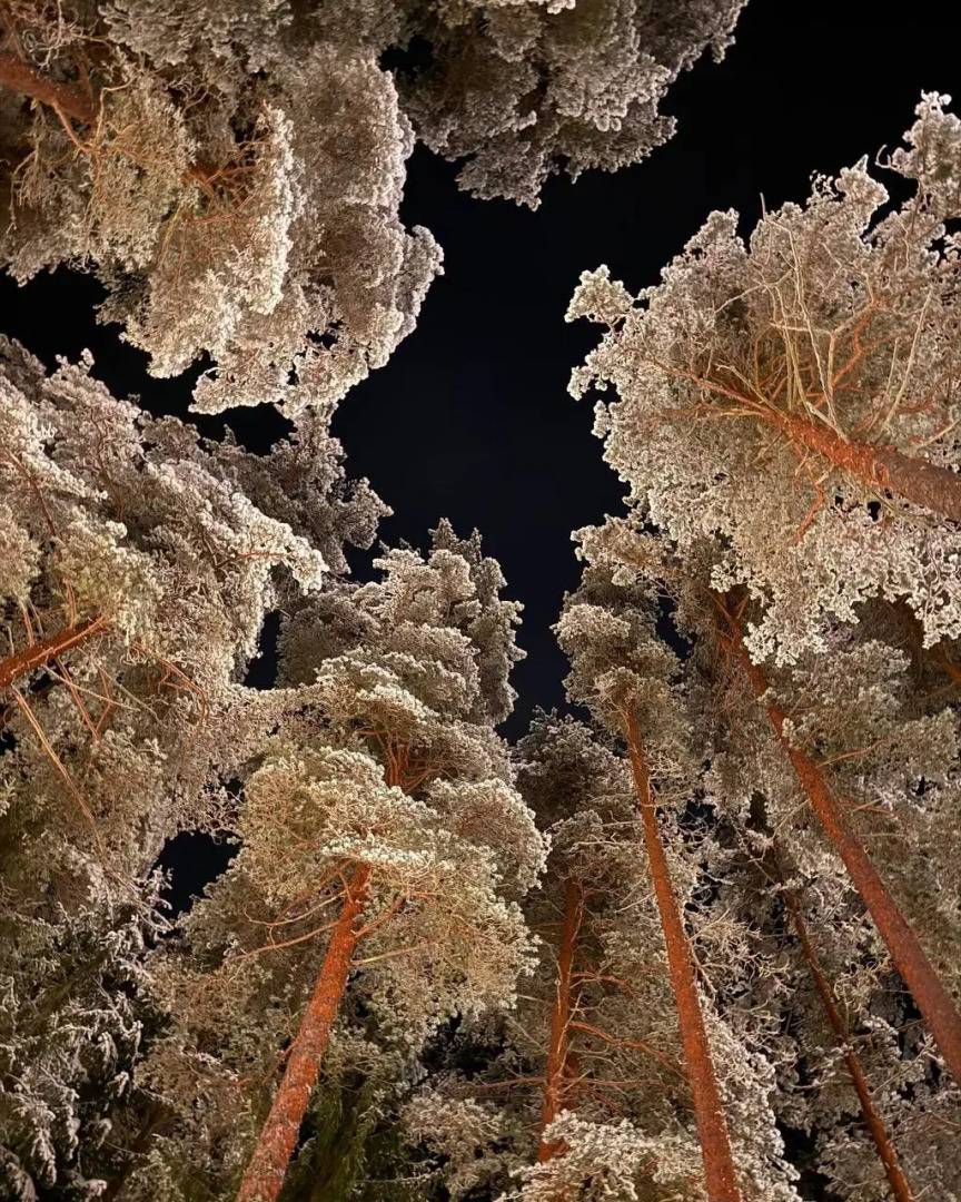 Отель Курорт Большое Борково