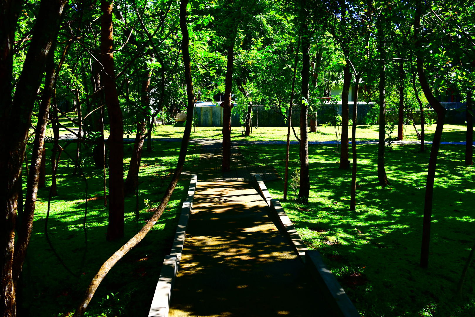 Отель Sigiri Asna Nature Resort