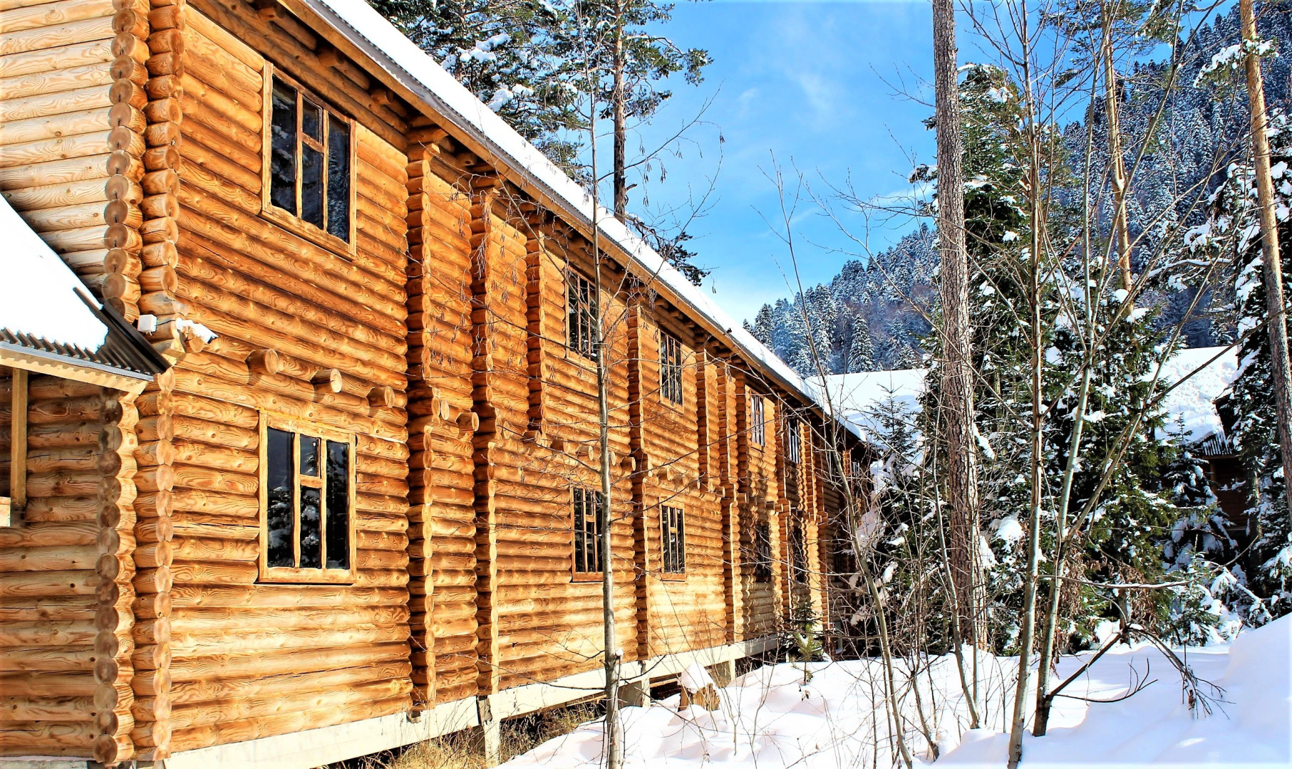 Отель Таурух