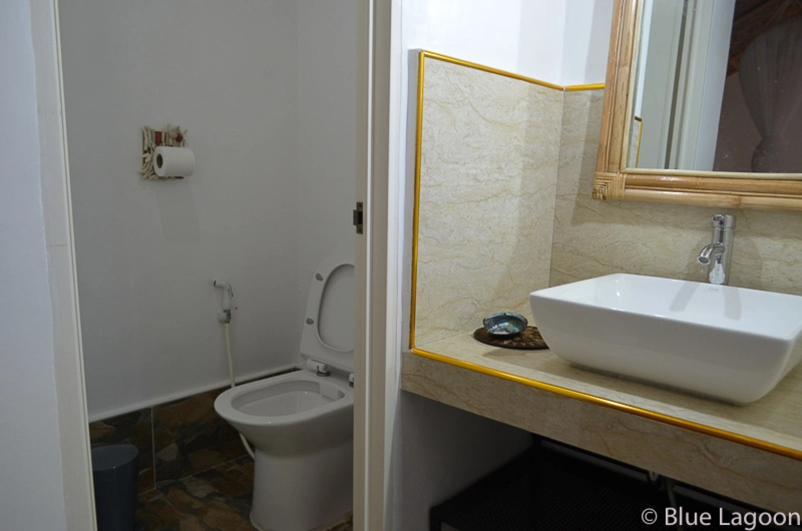 Отель Blue Lagoon Dive Resort