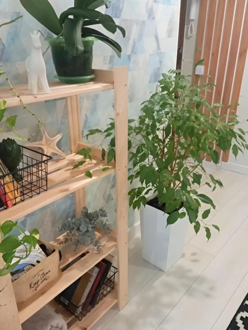 Квартира DeLuxe