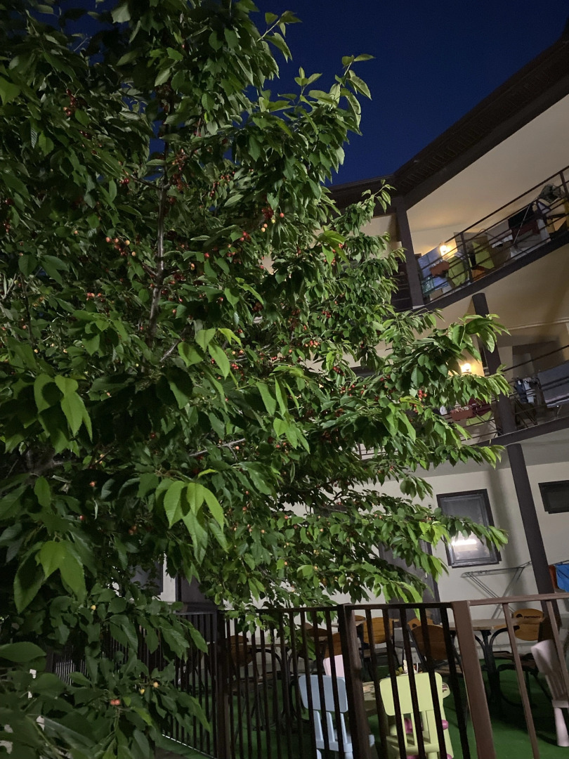 Гостевой дом Родительский очаг